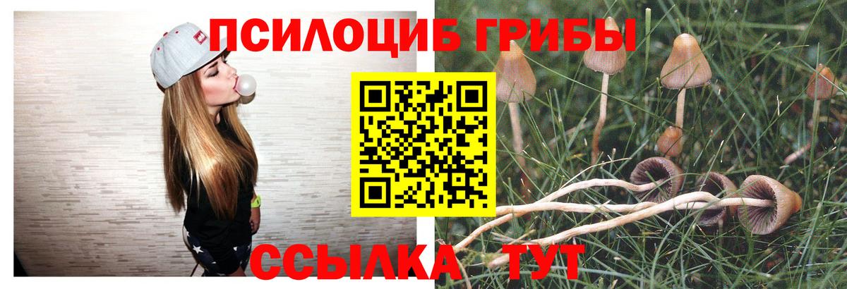 Светлоград  Галлюциногенные грибы мицелий  Вход с VPN  Галлюциногенные грибы Psilocybine cubensis 