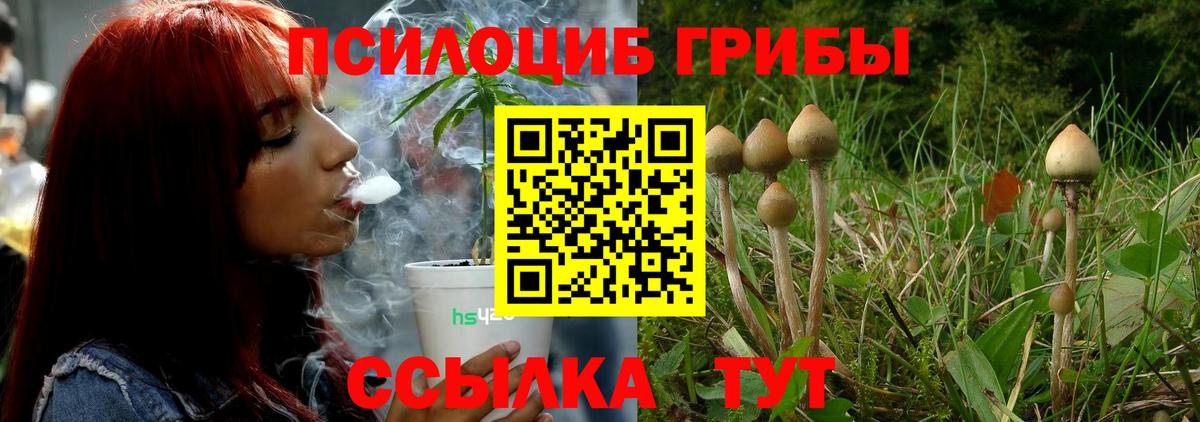 Галлюциногенные грибы мицелий Светлоград